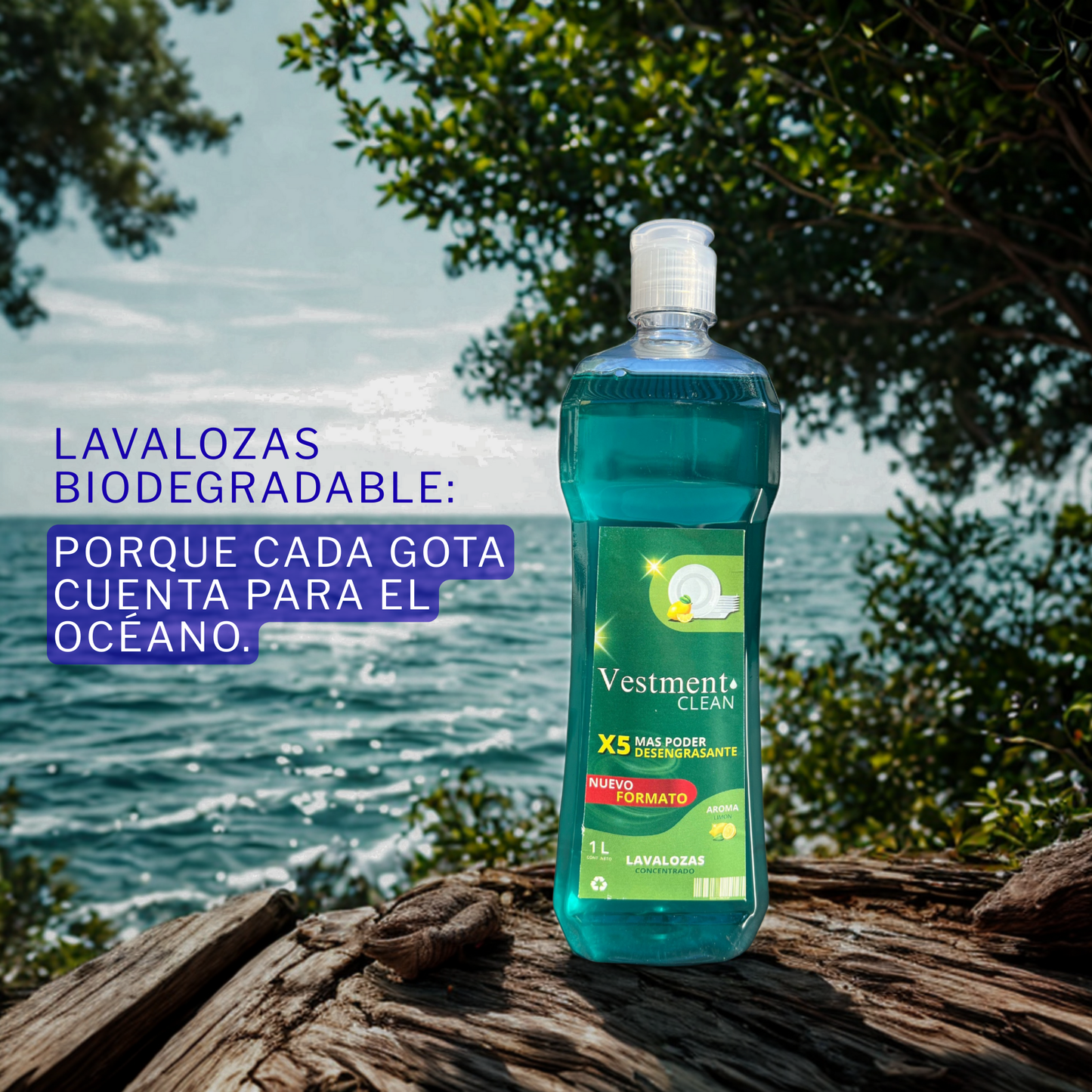 LAVALOZAS CONCENTRADO 1L