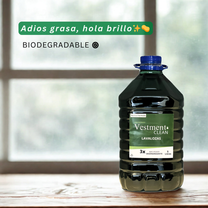 LAVALOZAS CONCENTRADO 5L