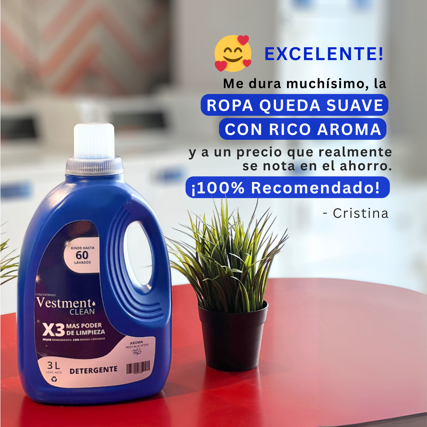 DETERGENTE CONCENTRADO 3L
